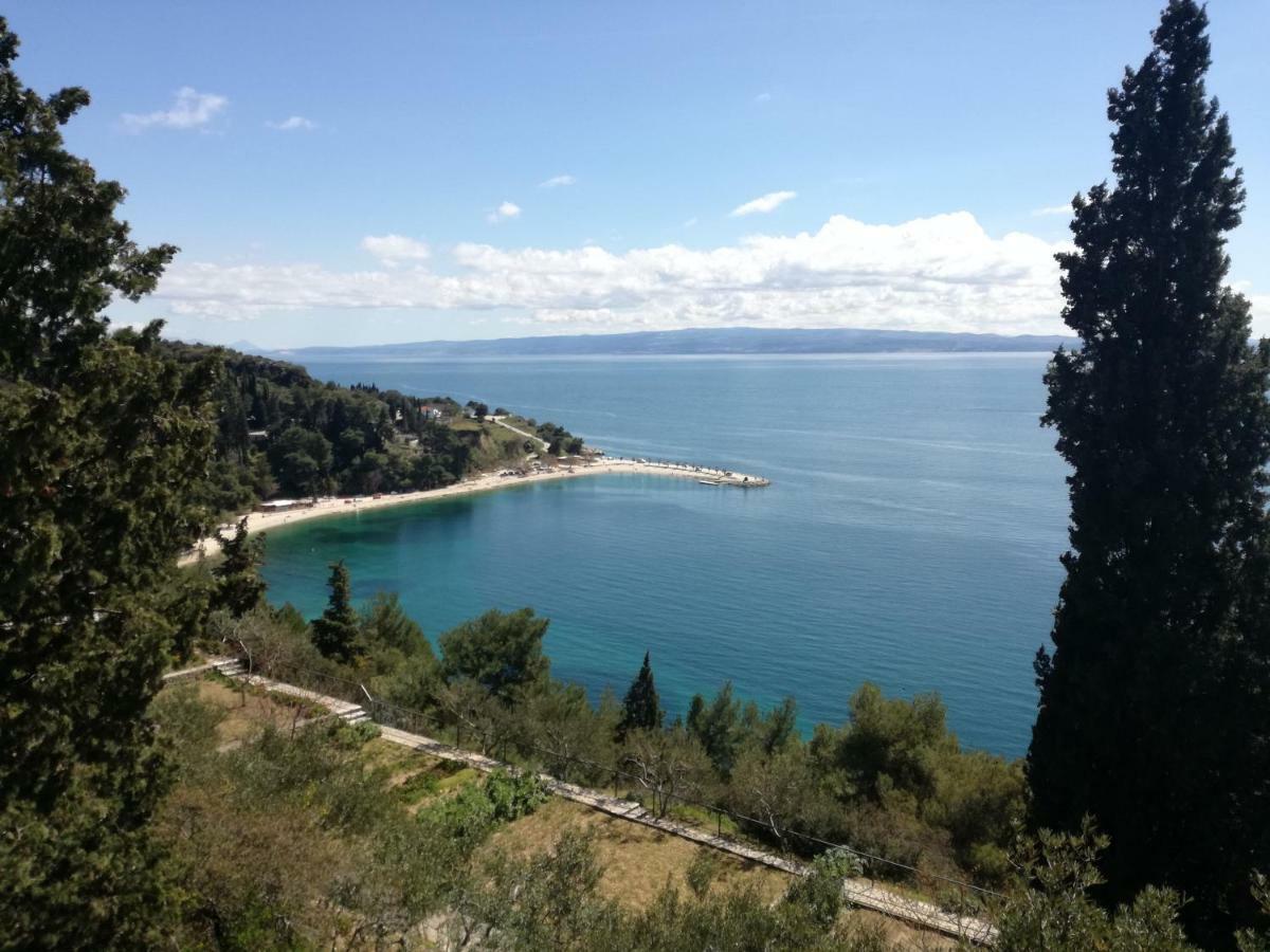 Apartment Bellina Split Dış mekan fotoğraf